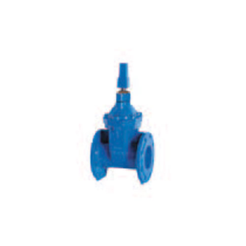 Sluice Valve