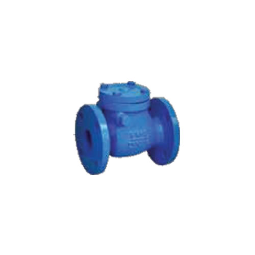 Swing Check Valve